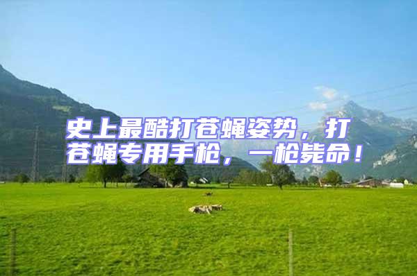 史上最酷打蒼蠅姿勢(shì)，打蒼蠅專用手槍，一槍斃命！