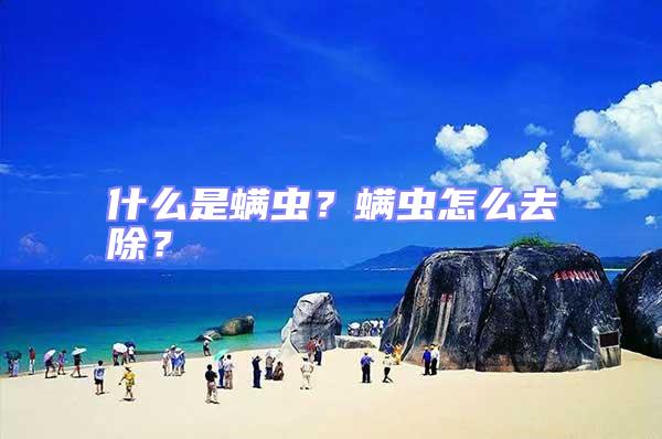 什么是螨蟲？螨蟲怎么去除？