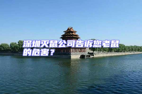 深圳滅鼠公司告訴您老鼠的危害？