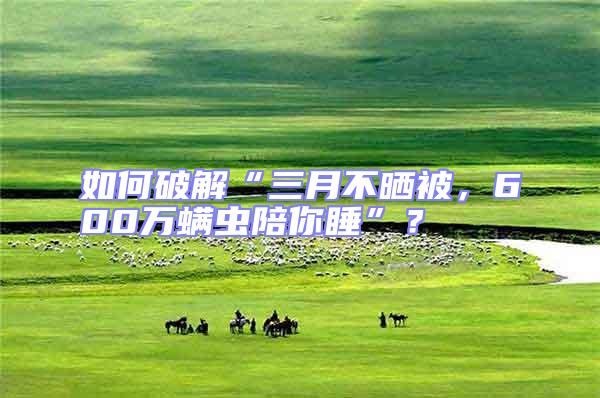 如何破解“三月不曬被，600萬螨蟲陪你睡”？
