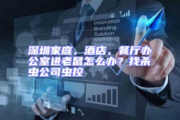 深圳家庭、酒店、餐廳辦公室進老鼠怎么辦?找殺蟲公司蟲控