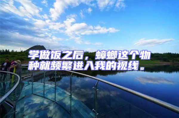 學(xué)做飯之后,蟑螂這個(gè)物種就頻繁進(jìn)入我的視線。