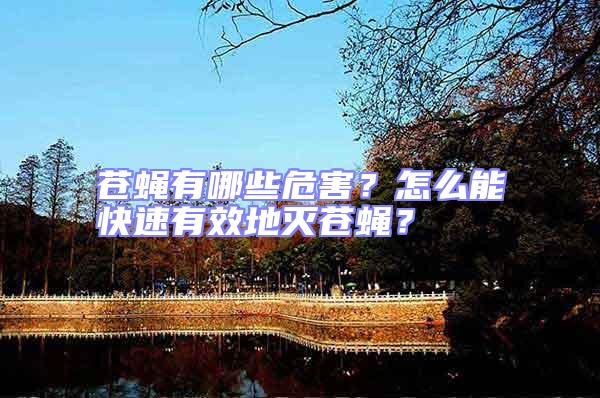 蒼蠅有哪些危害?怎么能快速有效地滅蒼蠅?