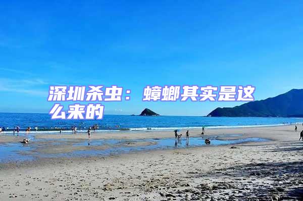 深圳殺蟲：蟑螂其實是這么來的