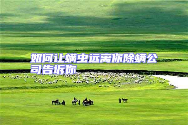 如何讓螨蟲遠離你除螨公司告訴你