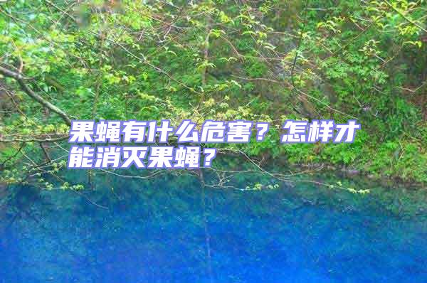 果蠅有什么危害?怎樣才能消滅果蠅?