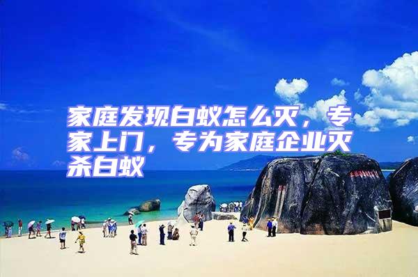 家庭發現白蟻怎么滅,專家上門,專為家庭企業滅殺白蟻