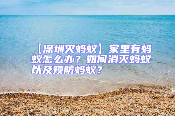 【深圳滅螞蟻】家里有螞蟻怎么辦？如何消滅螞蟻以及預防螞蟻？
