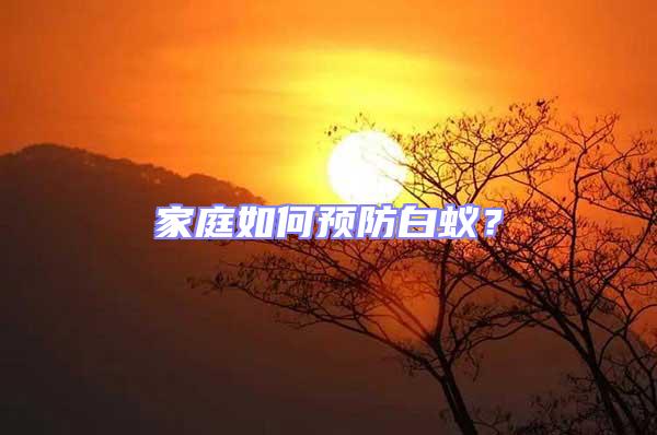 家庭如何預防白蟻？