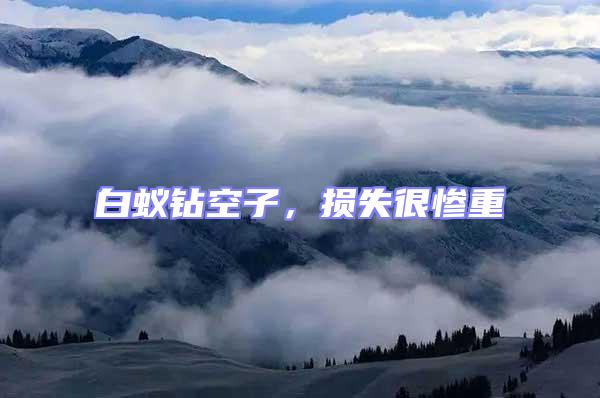 白蟻鉆空子,損失很慘重