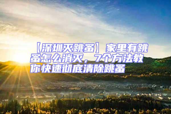 【深圳滅跳蚤】家里有跳蚤怎么消滅，7個方法教你快速徹底清除跳蚤
