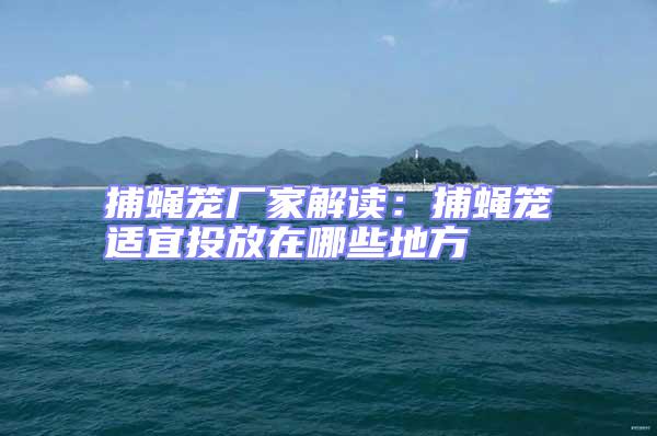 捕蠅籠廠家解讀：捕蠅籠適宜投放在哪些地方