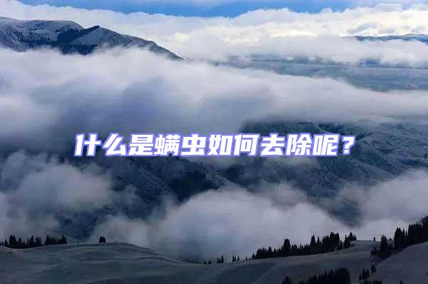 什么是螨蟲如何去除呢?