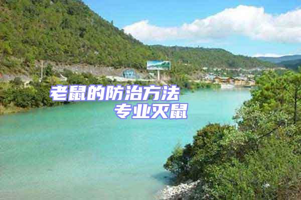 老鼠的防治方法 專業(yè)滅鼠