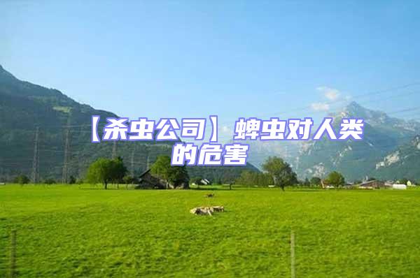 【殺蟲公司】蜱蟲對(duì)人類的危害