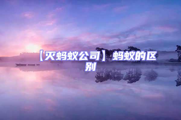 【滅螞蟻公司】螞蟻的區別