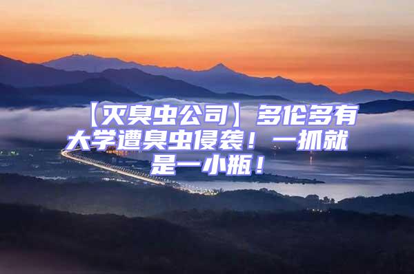 【滅臭蟲公司】多倫多有大學遭臭蟲侵襲！一抓就是一小瓶！