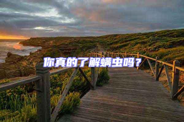 你真的了解螨蟲嗎？