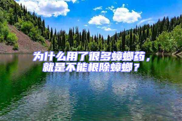 為什么用了很多蟑螂藥,就是不能根除蟑螂?