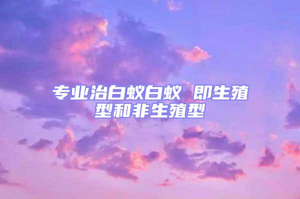專(zhuān)業(yè)治白蟻白蟻 即生殖型和非生殖型