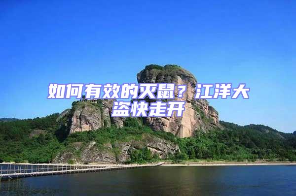 如何有效的滅鼠？江洋大盜快走開