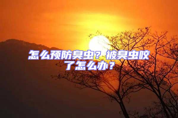怎么預防臭蟲？被臭蟲咬了怎么辦？