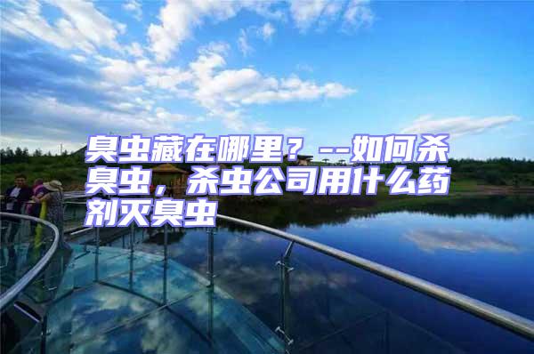 臭蟲藏在哪里？--如何殺臭蟲，殺蟲公司用什么藥劑滅臭蟲