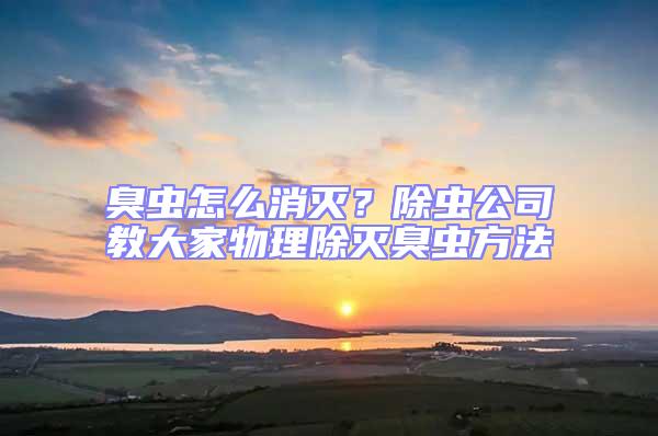 臭蟲怎么消滅？除蟲公司教大家物理除滅臭蟲方法