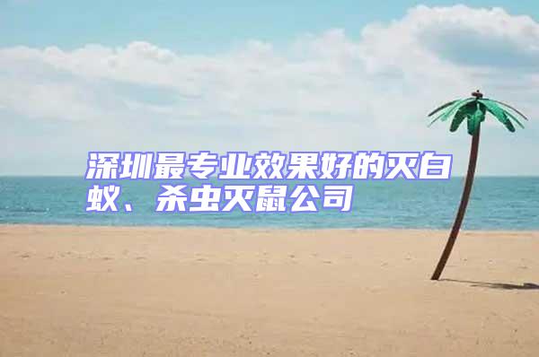深圳最專業(yè)效果好的滅白蟻、殺蟲滅鼠公司