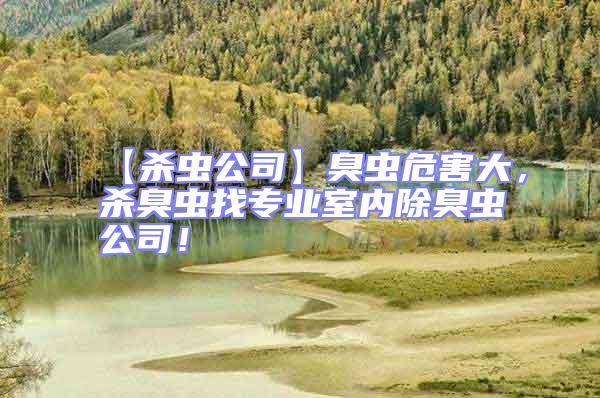 【殺蟲公司】臭蟲危害大，殺臭蟲找專業室內除臭蟲公司！