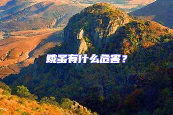 跳蚤有什么危害？