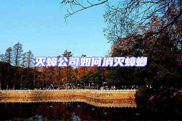 滅蟑公司如何消滅蟑螂