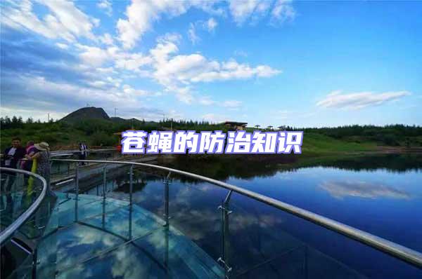 蒼蠅的防治知識