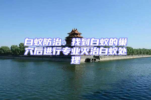 白蟻防治：找到白蟻的巢穴后進行專業滅治白蟻處理