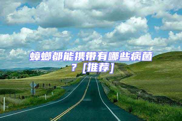 蟑螂都能攜帶有哪些病菌？[推薦]