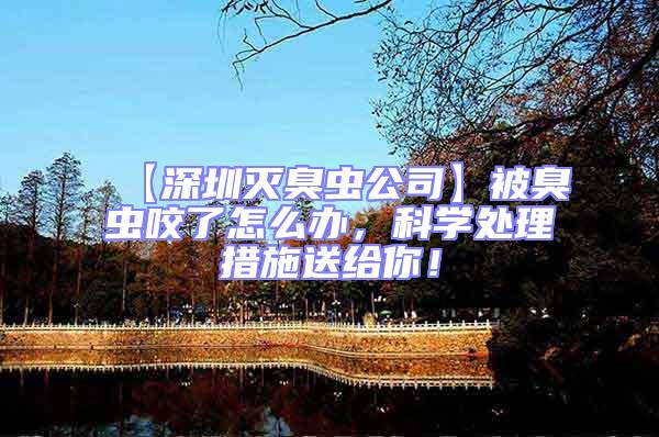 【深圳滅臭蟲公司】被臭蟲咬了怎么辦，科學(xué)處理措施送給你！