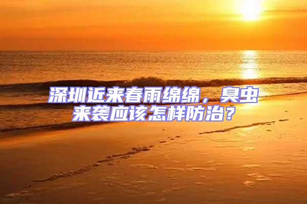 深圳近來(lái)春雨綿綿，臭蟲(chóng)來(lái)襲應(yīng)該怎樣防治？