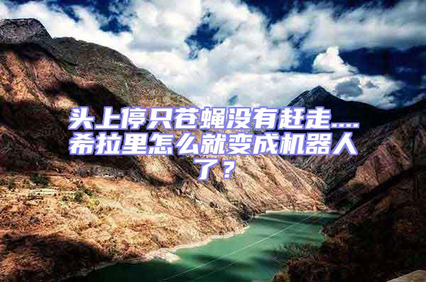 頭上停只蒼蠅沒有趕走....希拉里怎么就變成機器人了？