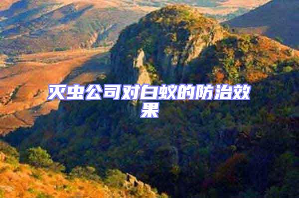 滅蟲公司對(duì)白蟻的防治效果