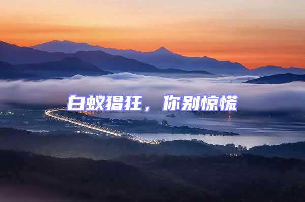 白蟻猖狂，你別驚慌