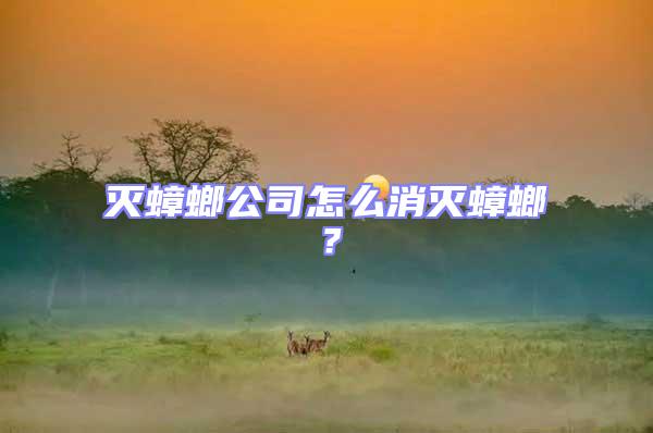 滅蟑螂公司怎么消滅蟑螂？