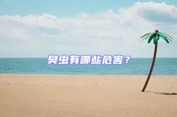 臭蟲有哪些危害?