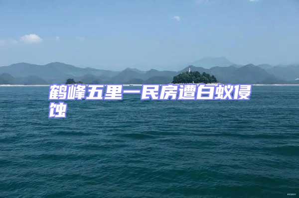 鶴峰五里一民房遭白蟻侵蝕