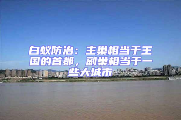 白蟻防治:主巢相當于王國的首都,副巢相當于一些大城市