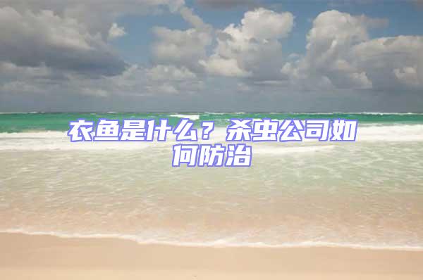 衣魚是什么？殺蟲公司如何防治