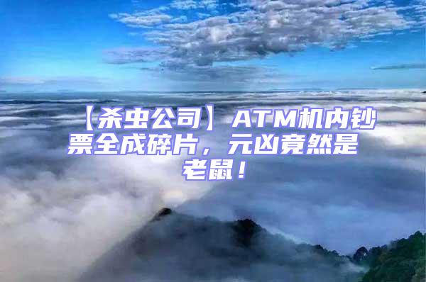 【殺蟲公司】ATM機內鈔票全成碎片，元兇竟然是老鼠！