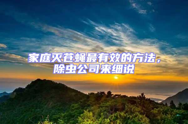 家庭滅蒼蠅最有效的方法，除蟲公司來細說