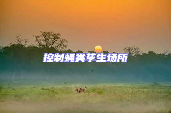 控制蠅類孳生場所