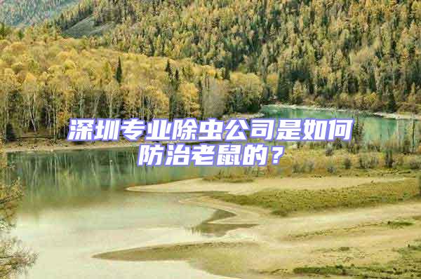 深圳專業除蟲公司是如何防治老鼠的?