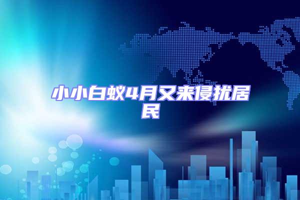 小小白蟻4月又來(lái)侵?jǐn)_居民